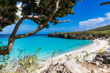 Descubre la Naturaleza de Curazao: Aventura en una Isla Tropical