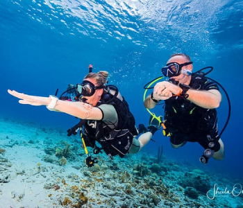 Advanced Open Water Course in Curacao: Take Your Diving Skills to the Next Level