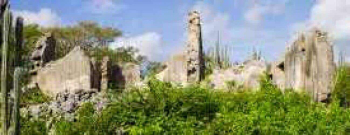 Deer Spotting Sunset Tour