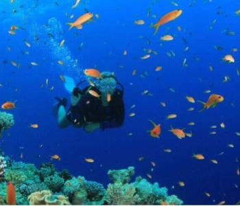 PADI Duiken ontdekken