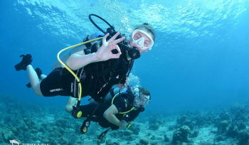 Experience the Wonders of Curaçao with an Introduction Dive