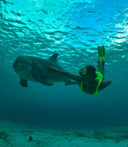 Dolfijn Assistent Trainer Programma: Een unieke ervaring voor kinderen in Curaça