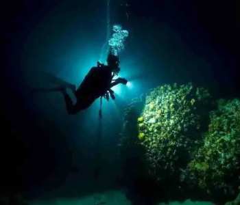 Experience the Thrill of a Night Boat Dive in Curaçao