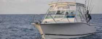 Half day Big Game Fishing trip