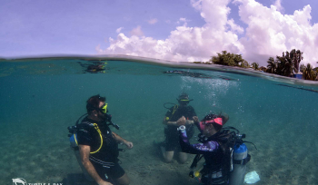 Introductie duiken op Curaçao: Je eerste stap in de onderwaterwereld