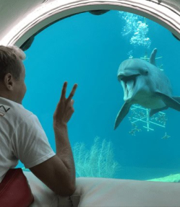 Ontdek de wonderen van Curaçao Sea Aquarium