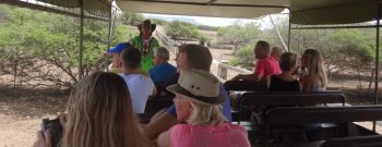Safari Tour at Ostrich farm