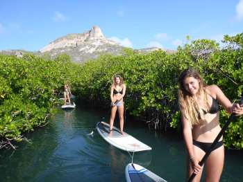 Ontdek de magie van Curaçao met een Spaans Water Mangrove SUP Tour