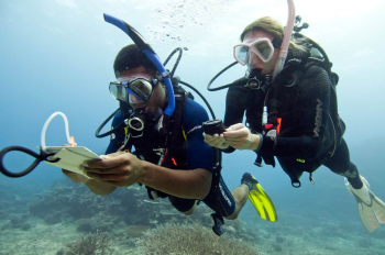 Master the Seas: Underwater Navigator Specialty Course in Curaçao