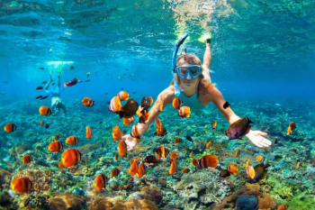 Explore the Underwater Wonders of Curaçao with an Unforgettable Snorkeling Adventure