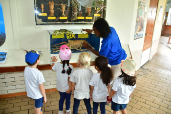 Explore Marine Education at Curaçao Sea Aquarium