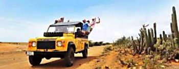 Sunset/Sunrise safari