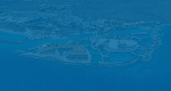 Duik in avontuur met de Animal Encounters Experience op Curaçao